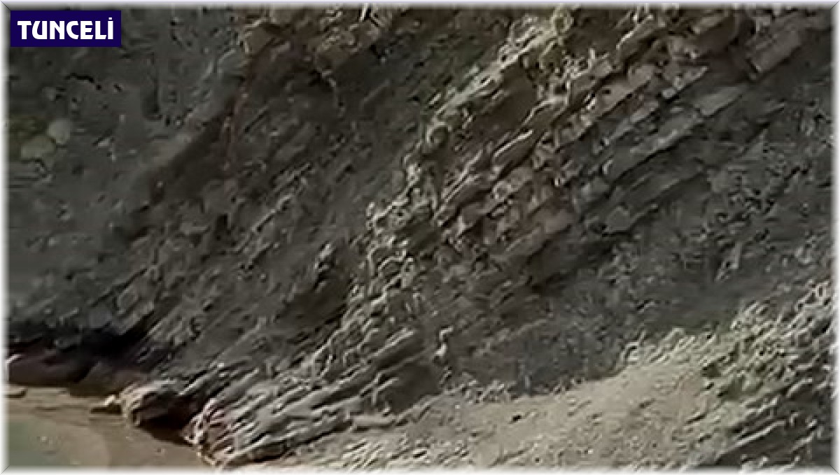 Koruma altındaki su samuru balık avlarken görüldü