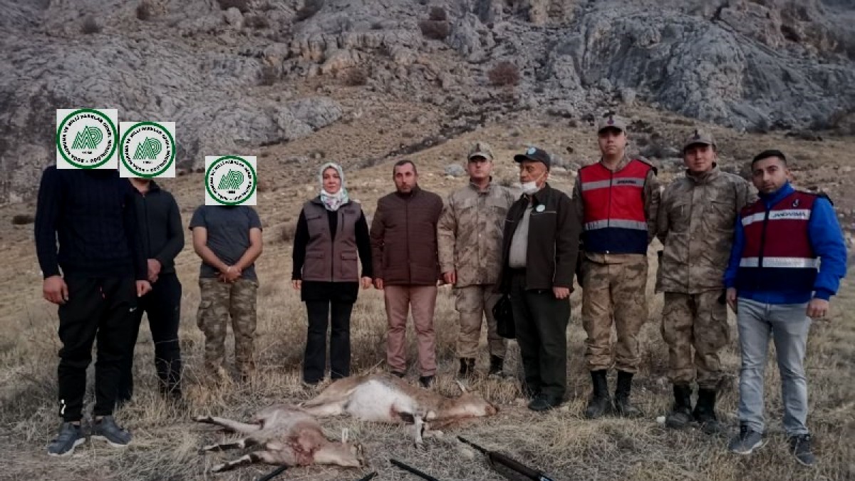 Koruma altındaki yaban keçilerini avlayan 4 kişiye 127 bin 526 lira ceza