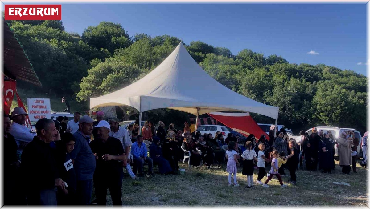 Koşapınar'da festival coşkusu