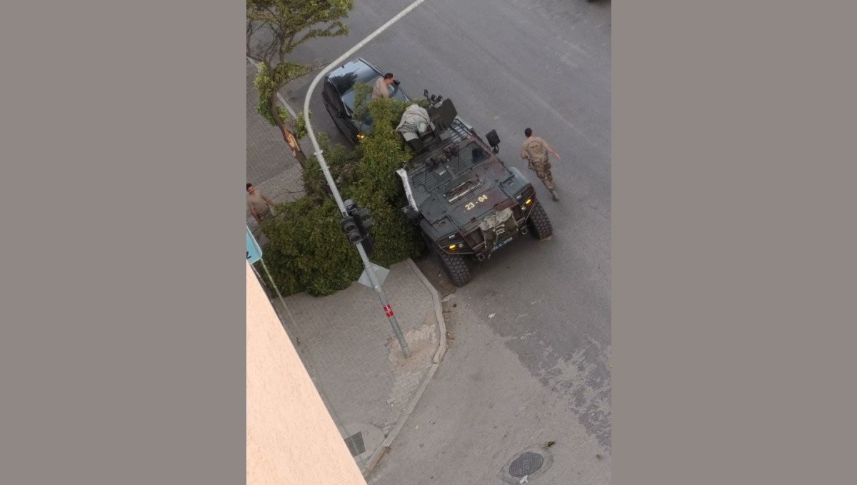 Kovancılarda ağaç dalları kırıldı