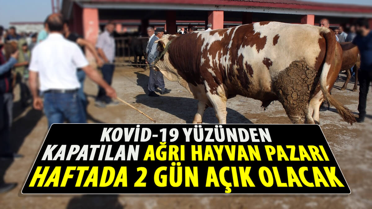 Kovid-19 yüzünden kapatılan Ağrı Hayvan Pazarı haftada 2 gün açık olacak