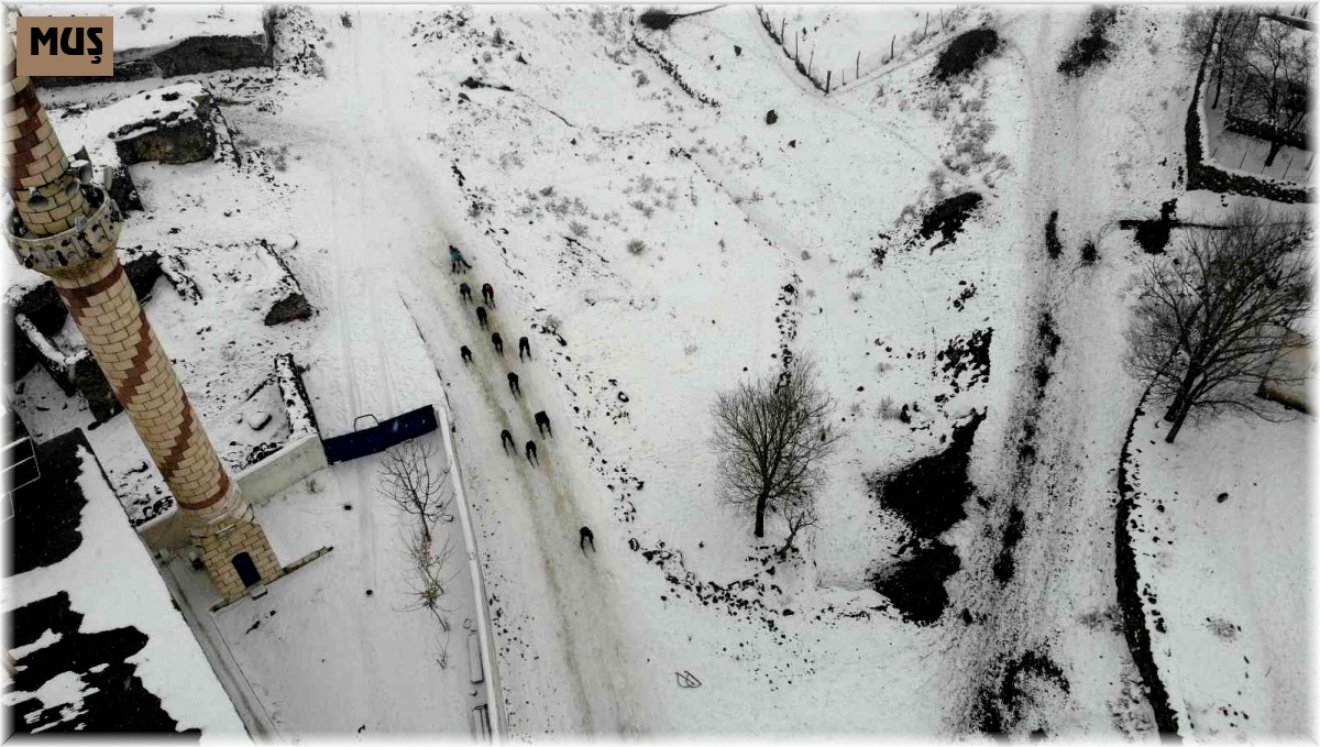 Köy çocukları karın keyfini kızaklarla çıkarıyor
