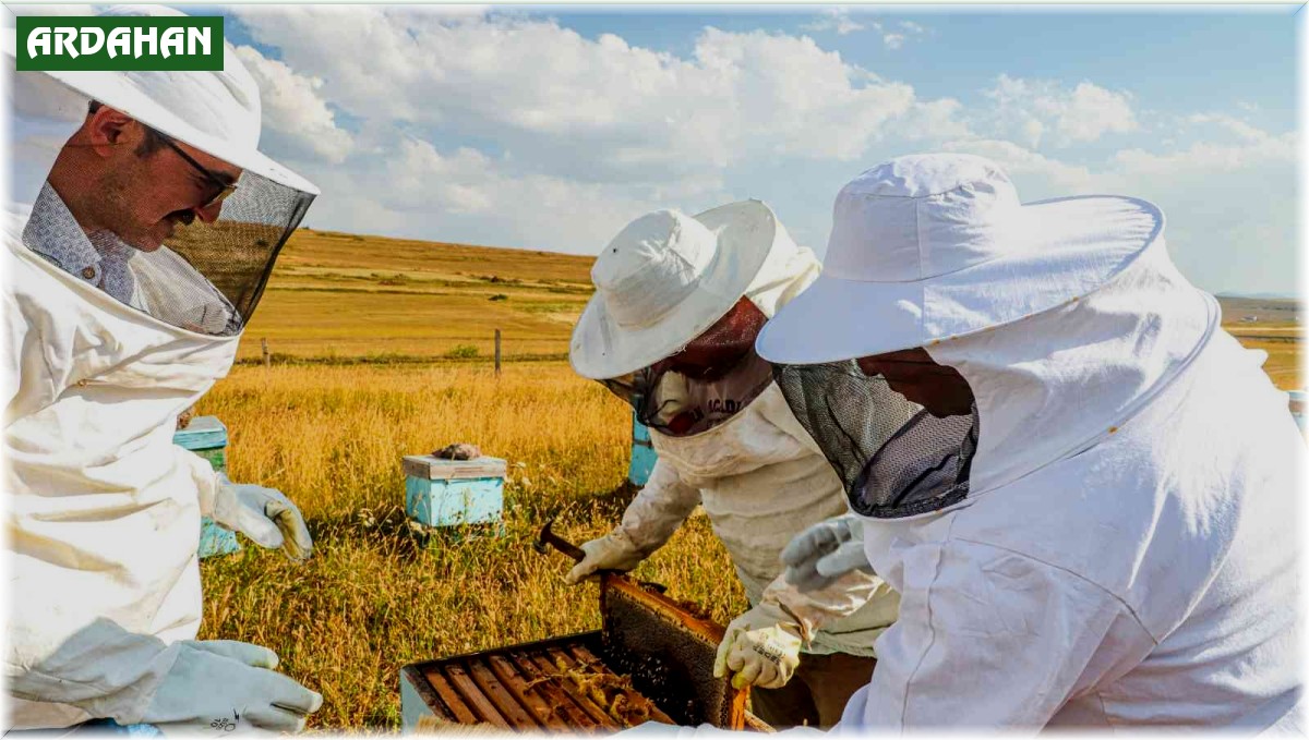 Köy hayatını seçti, amacı bal üretiminde markalaşmak