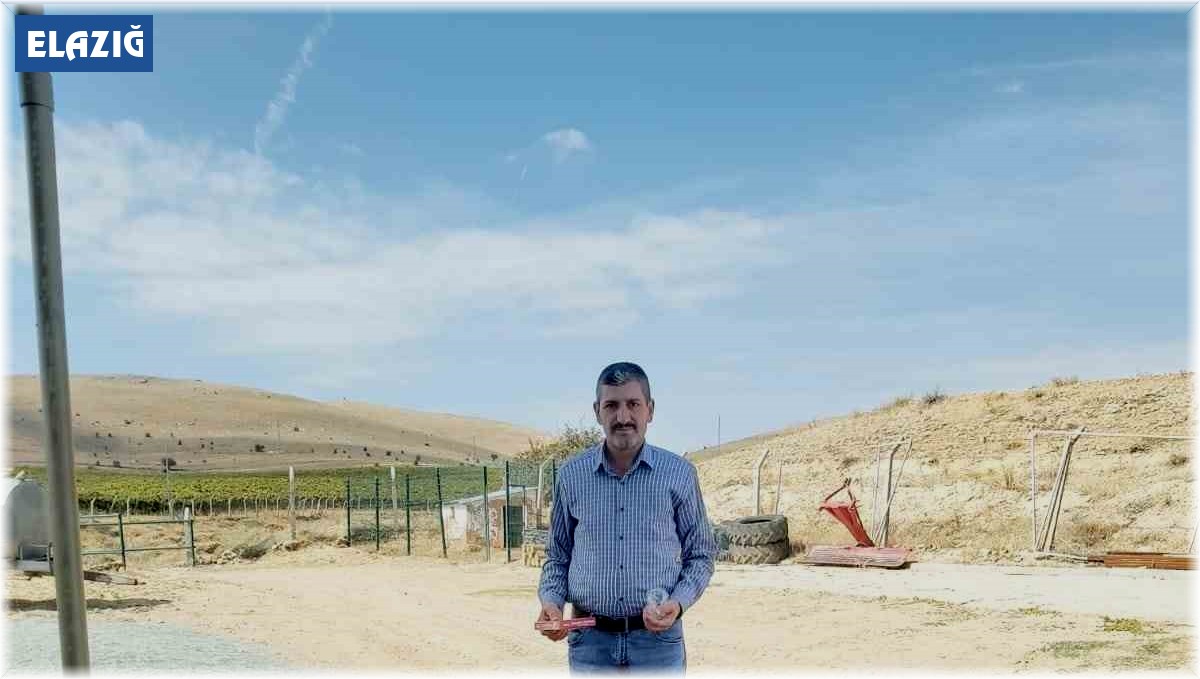 Köy muhtarının hayvan sevgisi: Çeyrek asırdır sahipsiz köpekleri besliyor