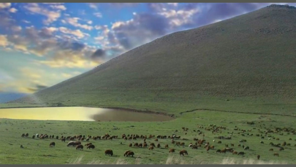 Köy muhtarının merayı kiraya vermesiyle ilgili soruşturma başlatıldı