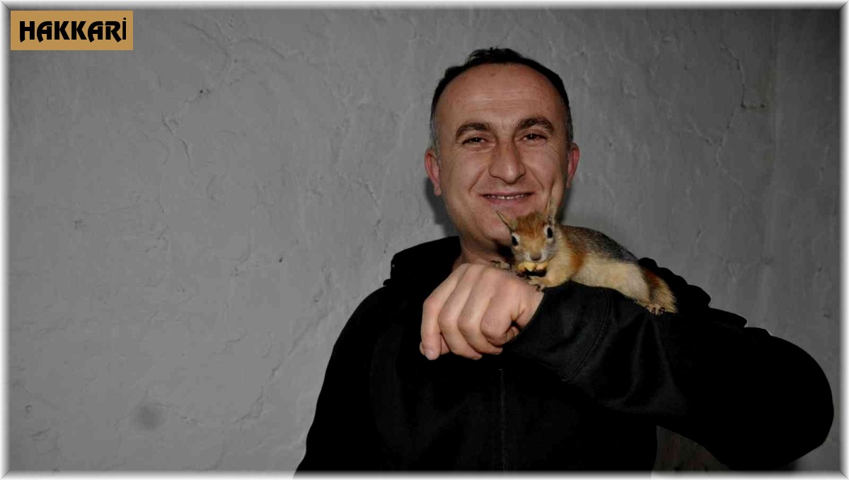 Köy öğretmeni evinde beslediği sincaba çocuğu gibi bakıyor