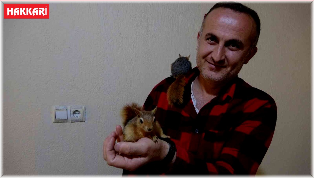 Köy okulu öğretmeni beslediği sincaplara çocuğu gibi bakıyor