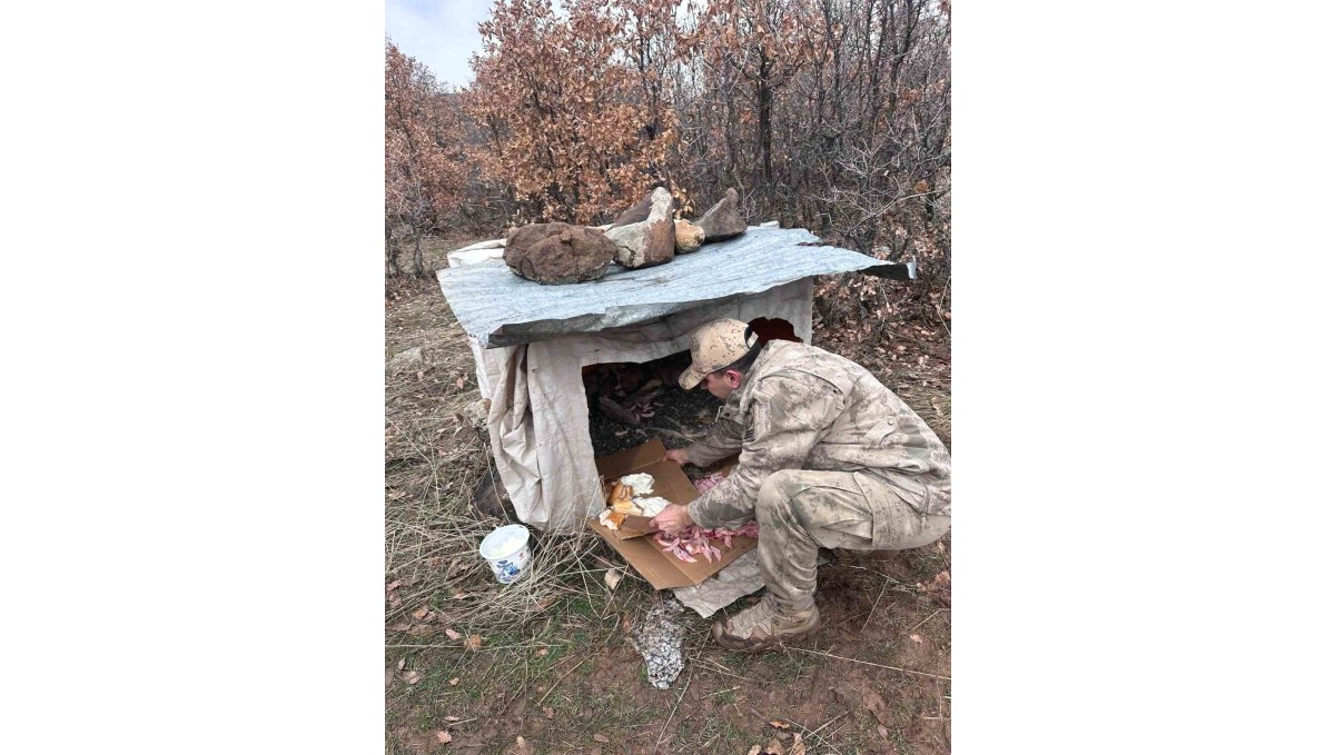 Köy yoluna bırakılan yavru köpeklere jandarmandan şefkat eli