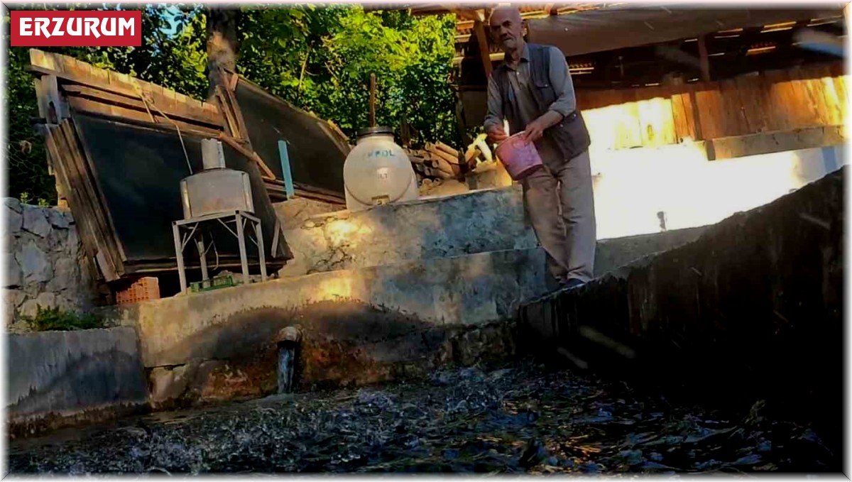 Köydeki küçük bir tesisten mütevazı restorana uzanan hikaye