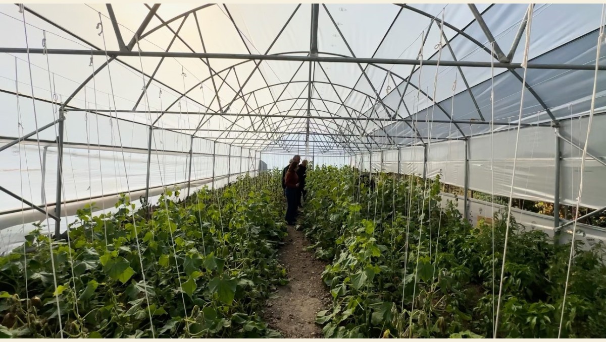 "Köye Dönüş" projesi çerçevesinde kurulan seralar sayesinde, boşaltılan köyler yeniden hayat buldu