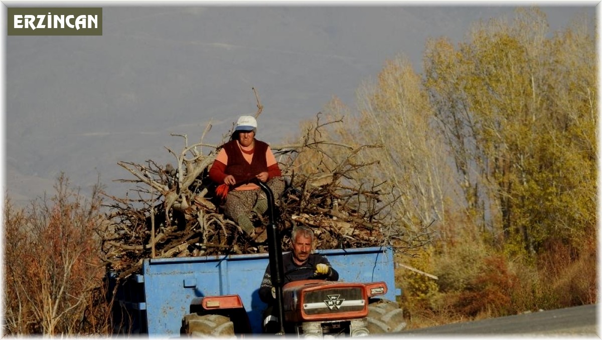 Köylerde kışlık odun hazırlığı