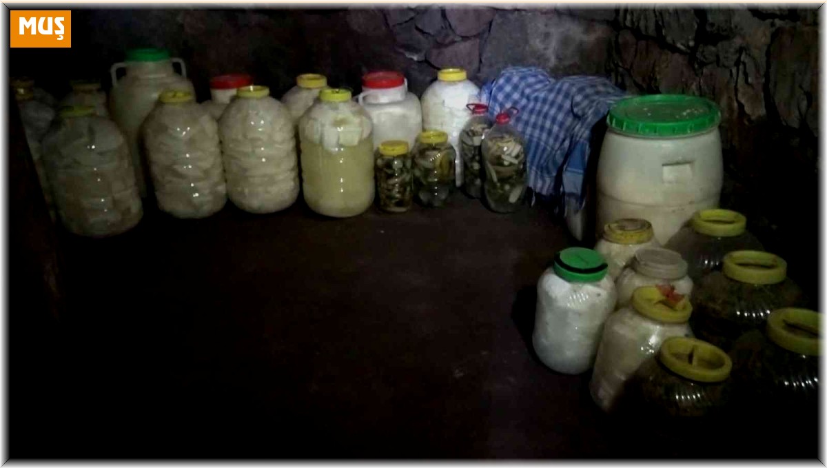 Köylüler kışlık erzaklarını buzdolabı yerine toprak altında muhafaza ediyor