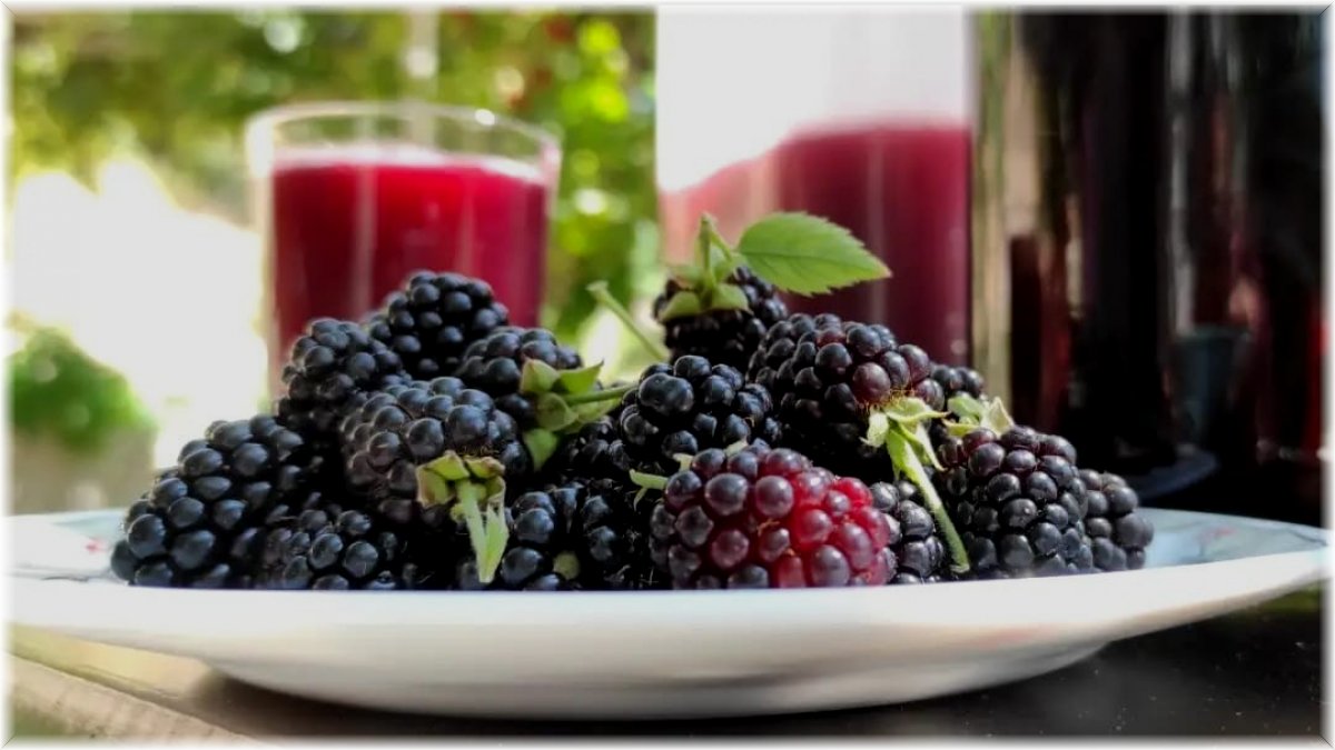 Köylülerin böğürtlen reçeli mesaisi