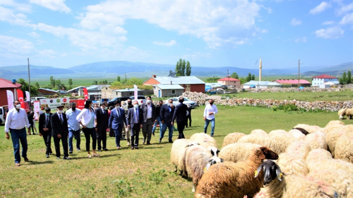 'Köyümde Yaşamak İçin Bir Sürü Nedenim Var' projesi kapsamında üreticilere koyun dağıtıldı