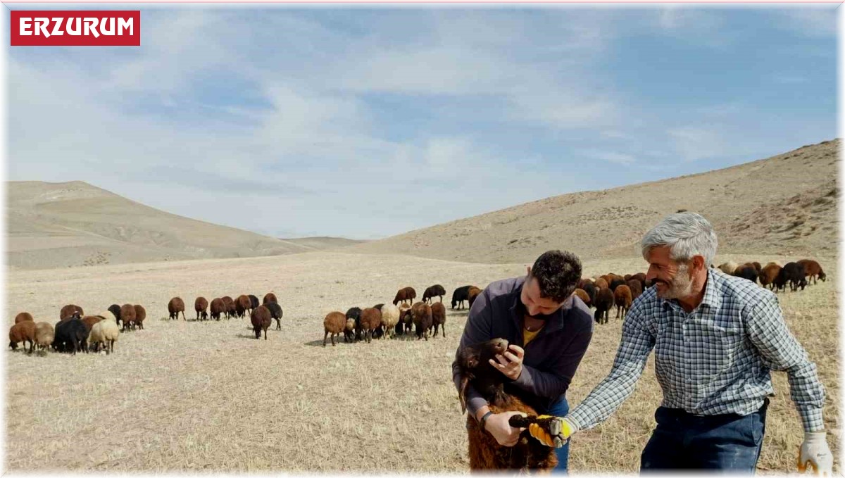 "Köyümde Yaşamak İçin Bir Sürü Nedenim Var" projesi yeniden başladı