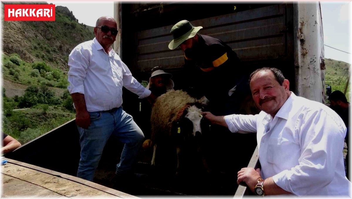 Köyüne dönmek isteyene koyun desteği