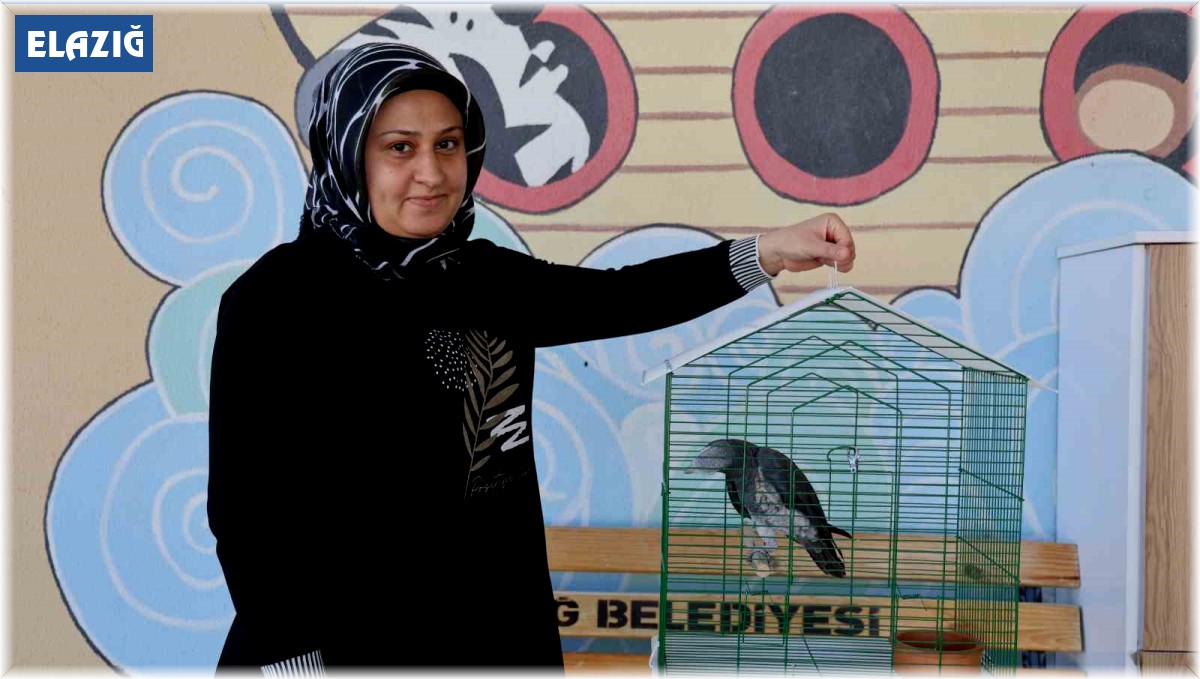 'Kübra' diye seslenen papağan, Tuba'sına kavuştu