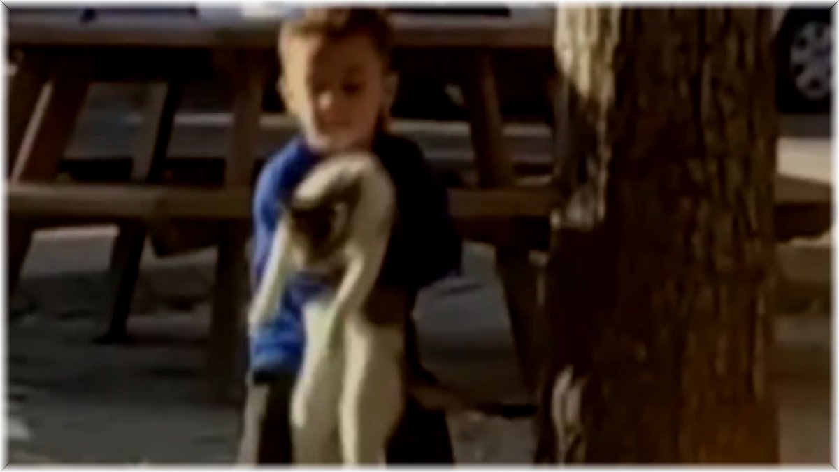 Küçük çocuğun kedi sevgisi yürekleri ısıttı