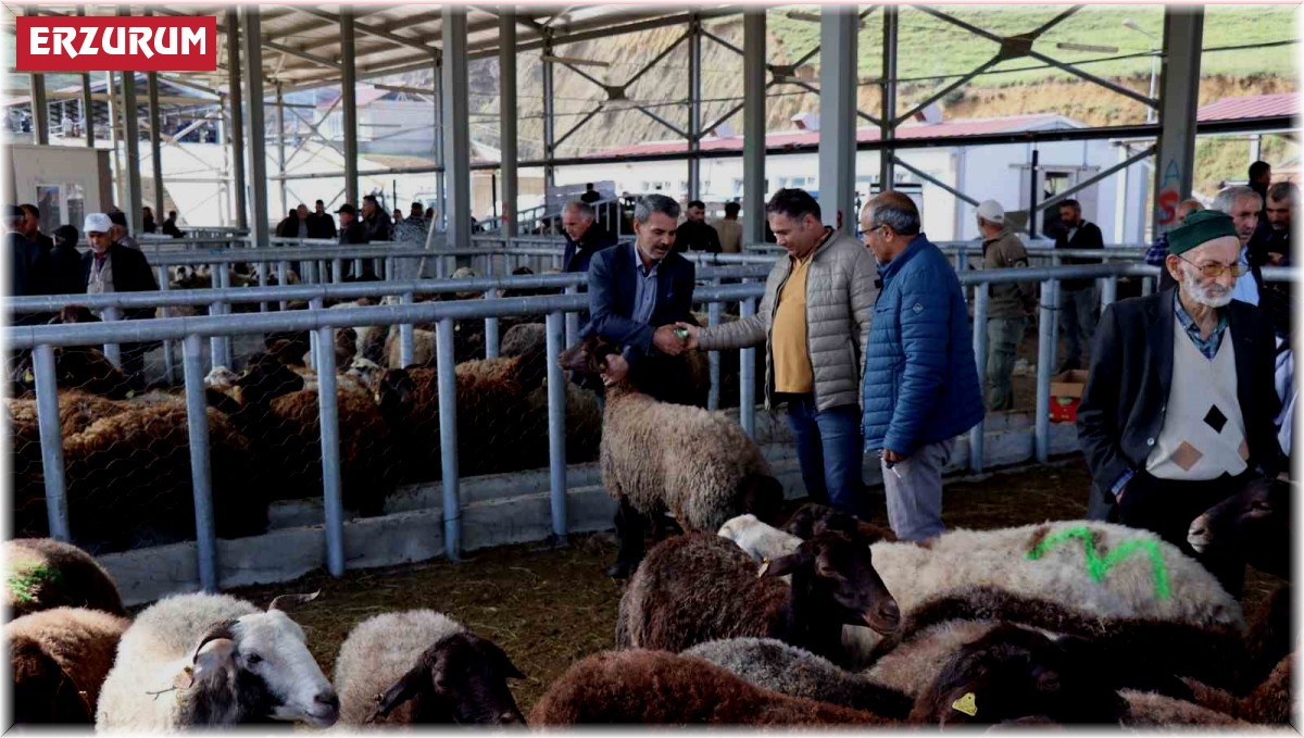 Küçükbaş kurbanlıklara ilgi daha fazla