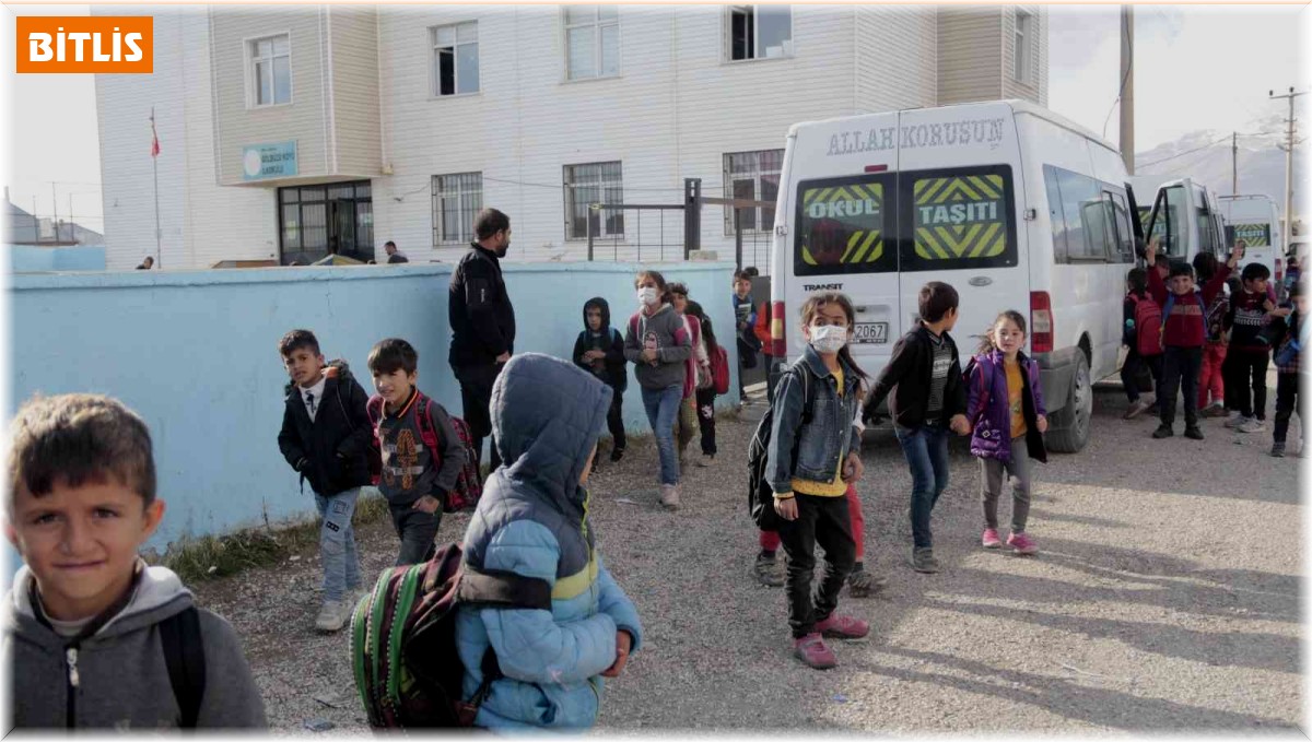 Kuduz köpeğin ısırdığı çocuğun köyünde başıboş köpekler korku saçıyor