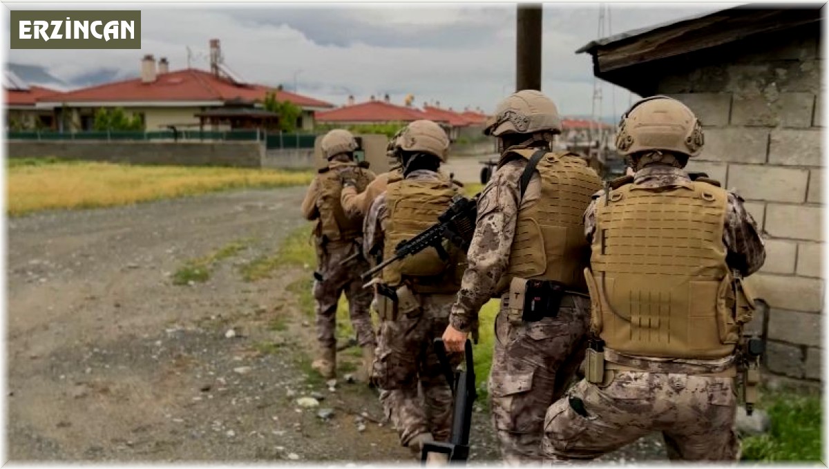 'Kukla' operasyonunda odunluğa saklanan silahlar ele geçirildi