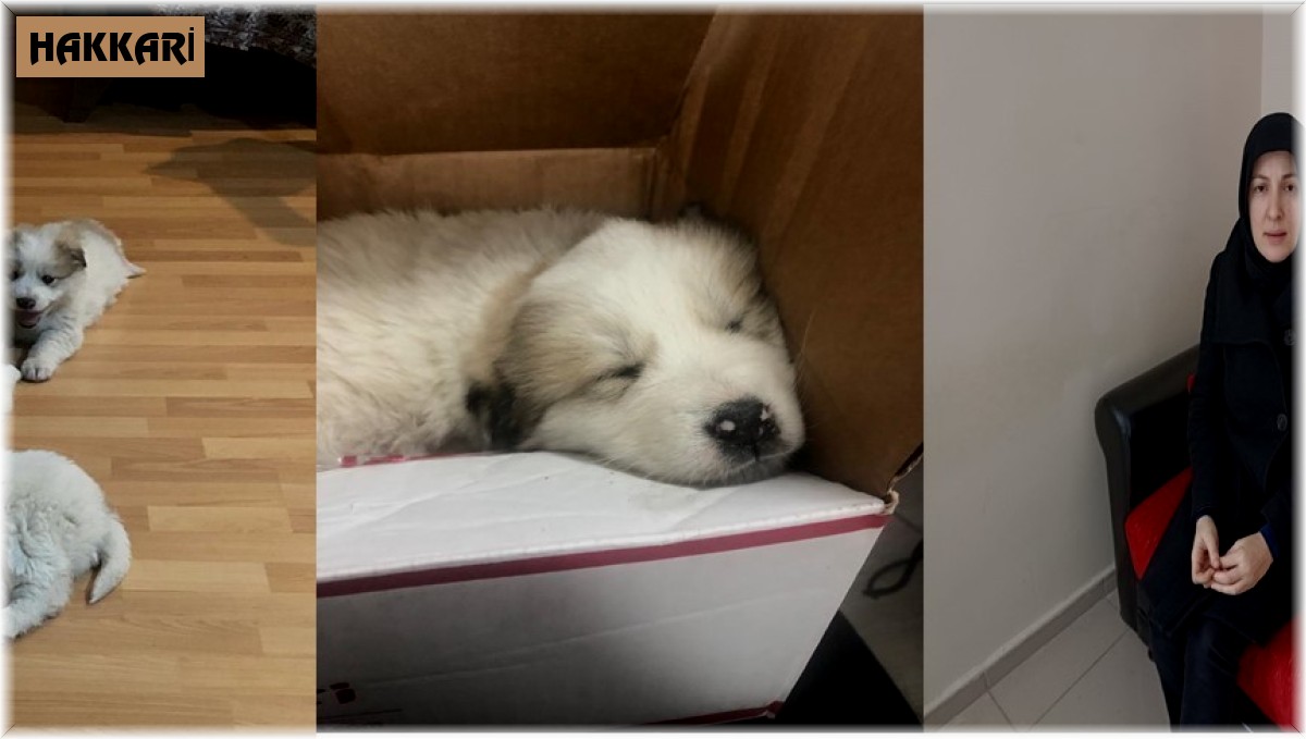 Kur'an Kursu öğreticisi Yılmaz'dan örnek davranış