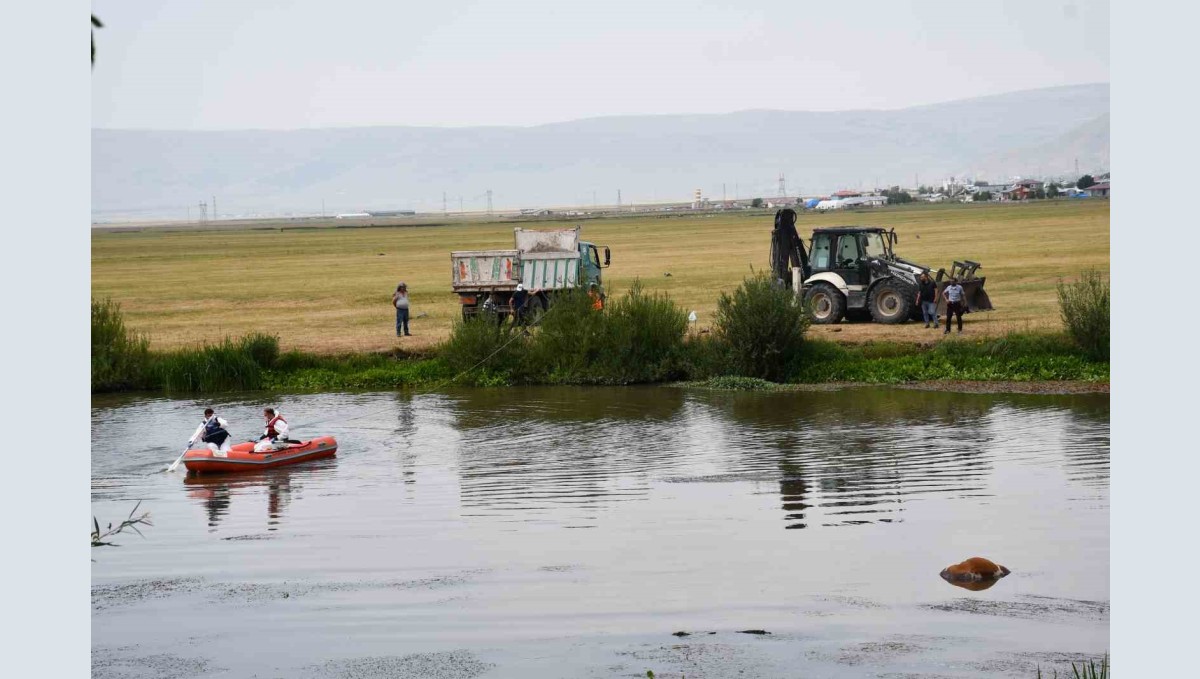 Kura nehrine düşerek boğulan inek can verdi