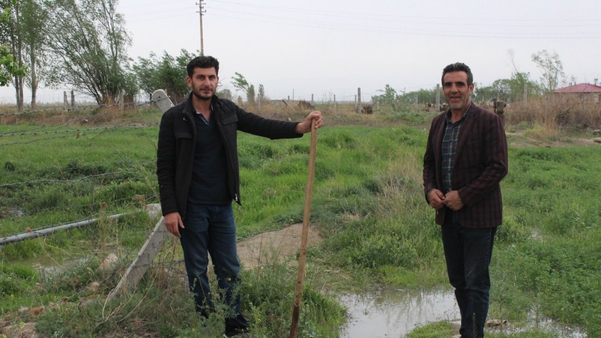 Kuraklığın baş gösterdiği Iğdır'da araziler sulanıyor