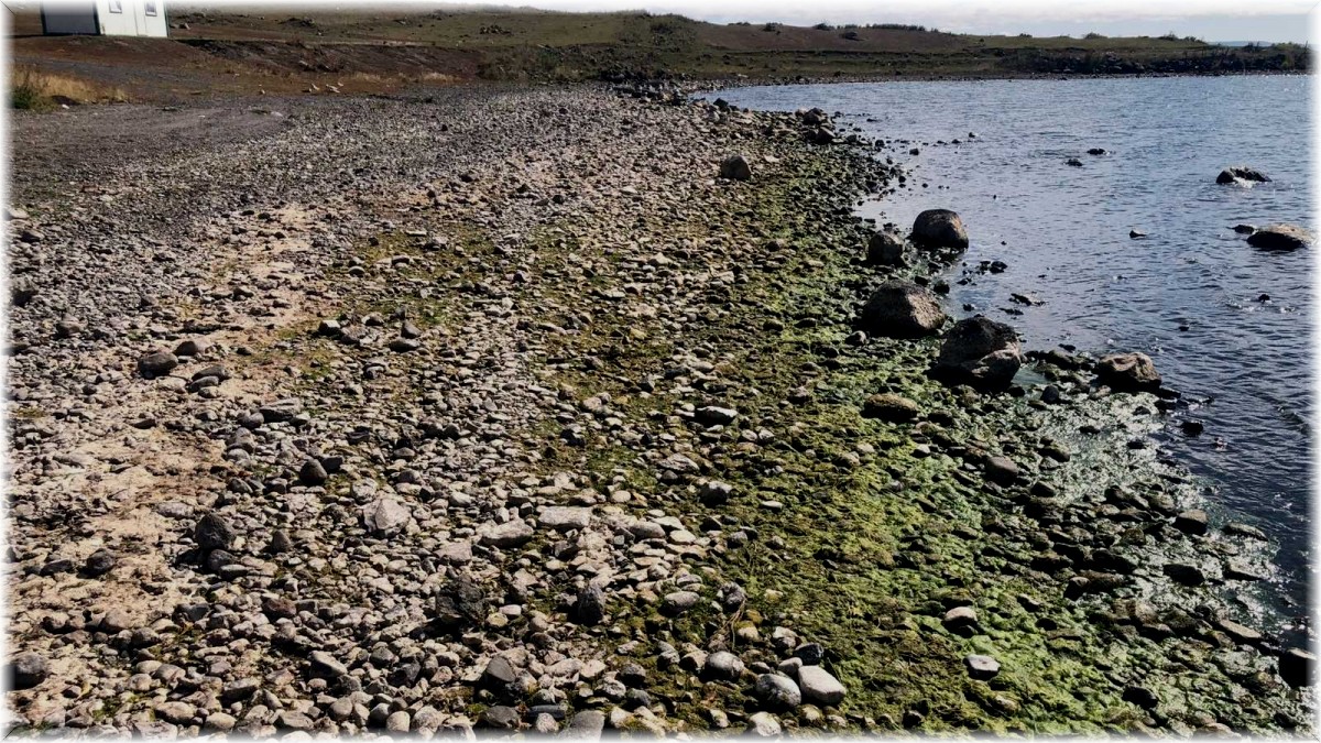 Kuraklık Çıldır Gölü'nü de vurdu, su seviyesi düştü