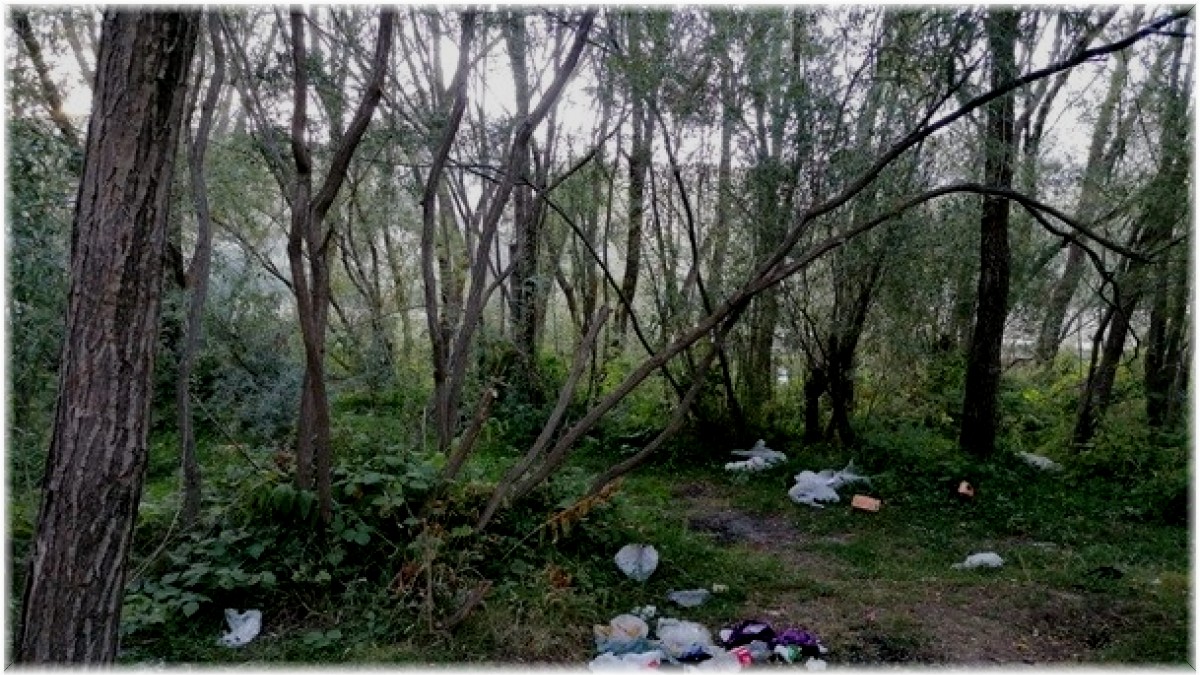 "Kuraklık üzerine bir de kirliliği yük etmeyelim"