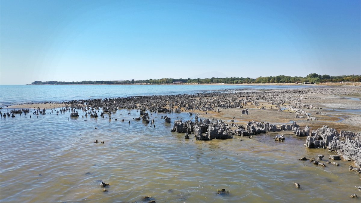 Kuraklık Van Gölü'nde binlerce yılda oluşan mikrobiyalitleri etkiliyor