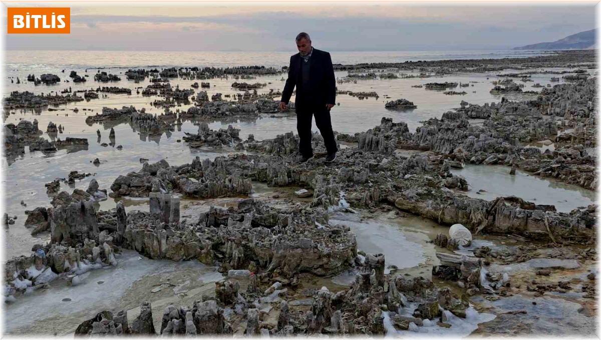 Kuraklık Van Gölü sahilini mikrobiyalit tarlasına dönüştürdü