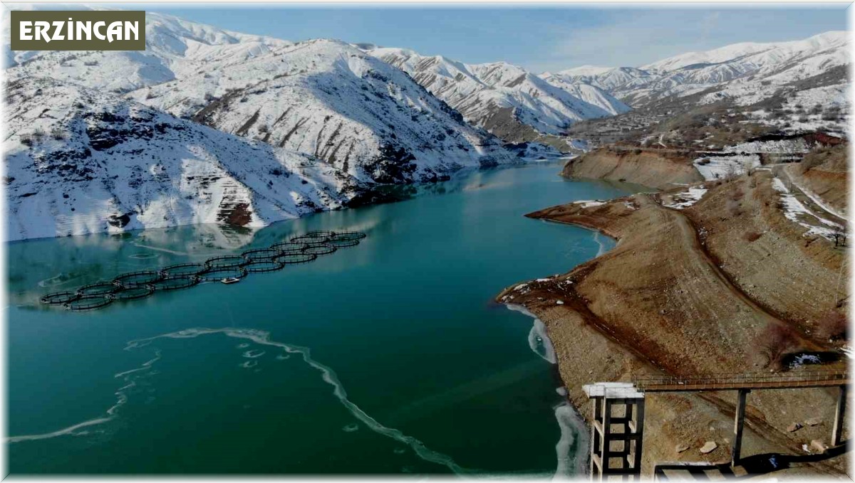 Kuraklık ve yağış azlığının etkisiyle Erzincan Barajı'nın su seviyesi yüzde 26,78'e düştü