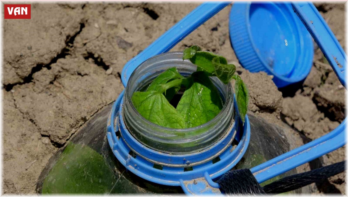 Kuraklıkla mücadelede ilginç çözüm