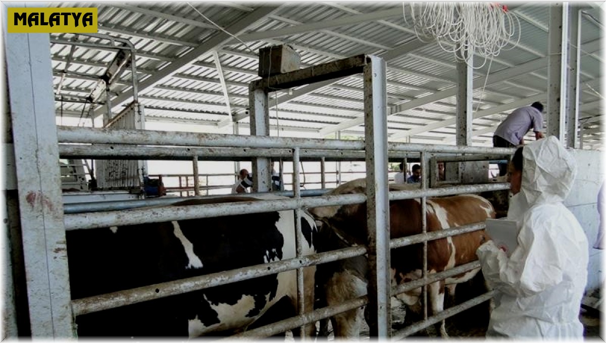 Kurban Bayramı öncesi sıkı kontrol