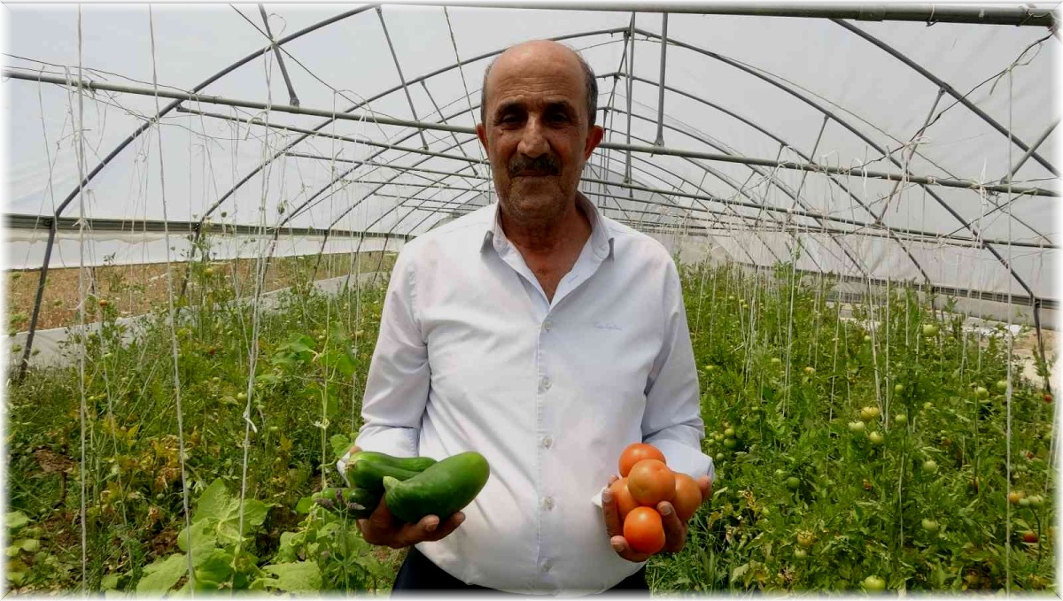 Kurduğu serada 10 yıldır ürettiği sebzeleri ihtiyaç sahiplerine bedava dağıtıyor