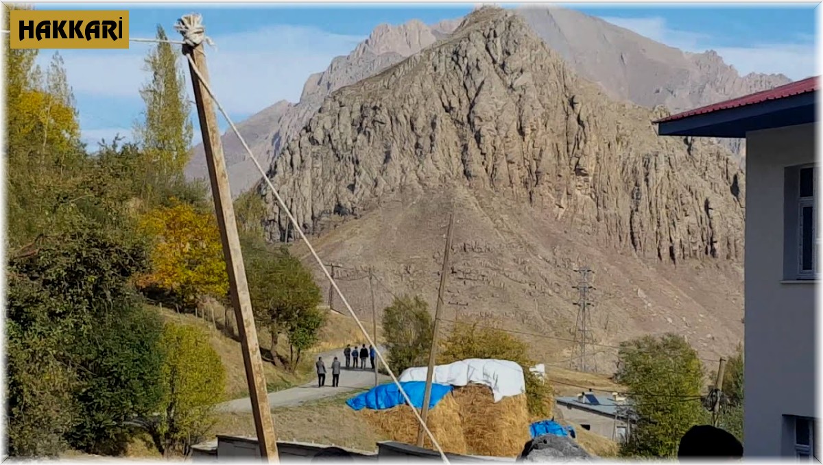 Kurt sürüsü 6 hayvanı telef etti