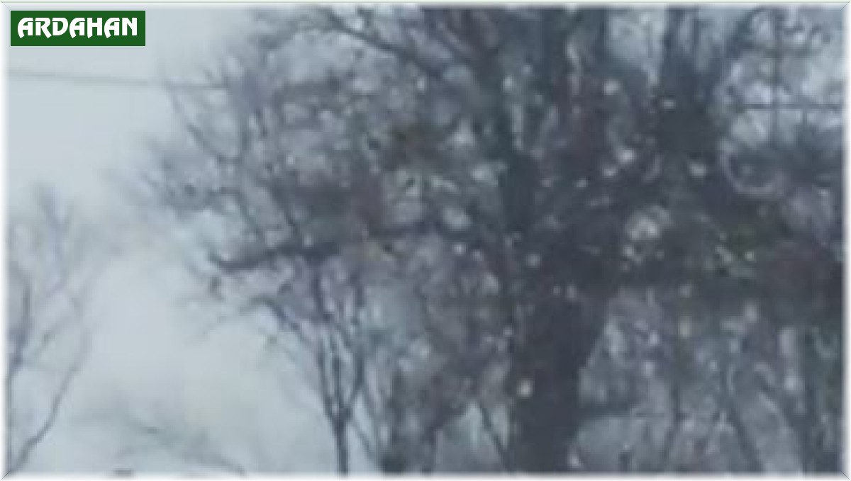 Kurt sürüsü böyle görüntülendi