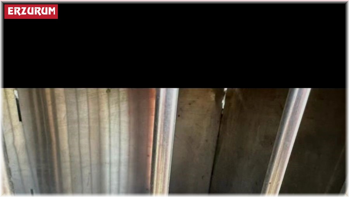 Kurt yavrusunu satmak isteyen şahsa para cezası