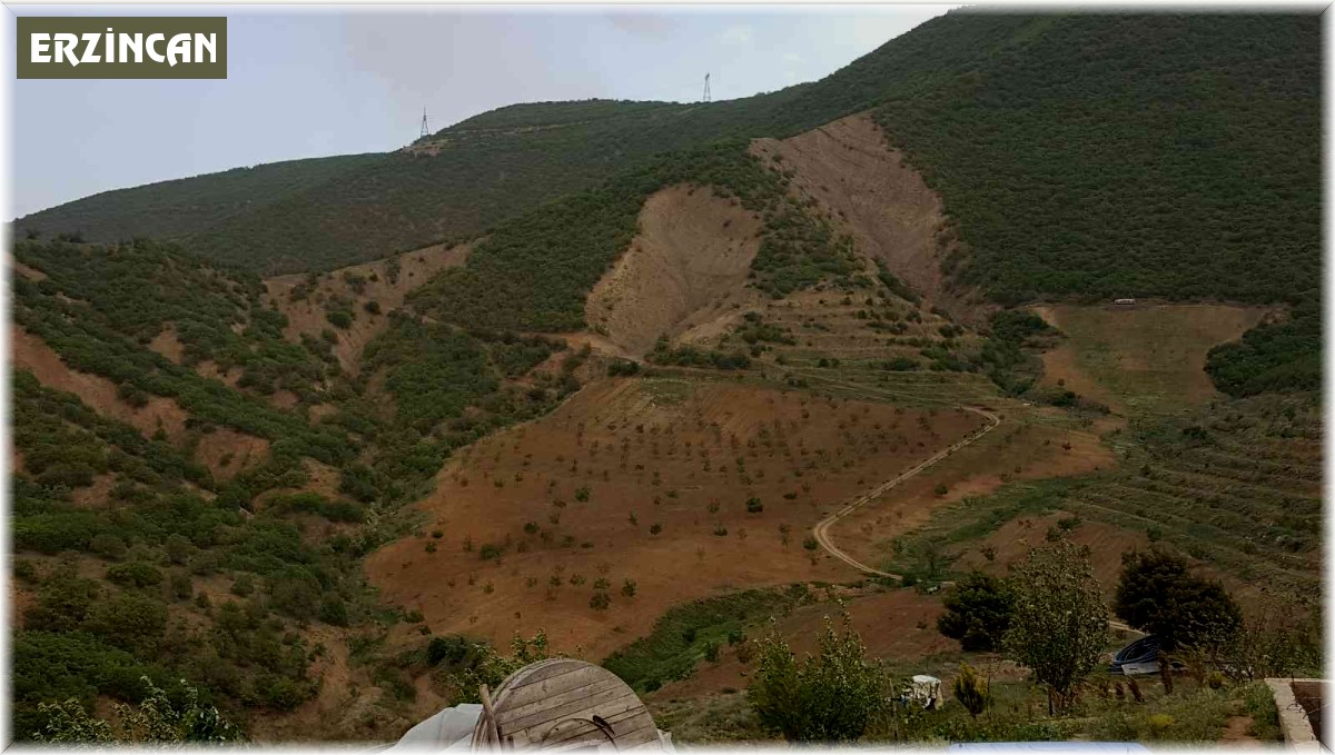 Kurtlar Vadisini ceviz fidanlarıyla yeşil vadiye dönüştürdü