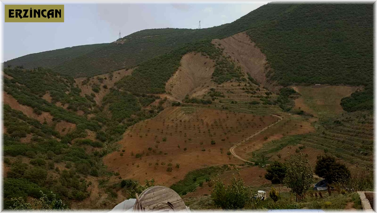 Kurtlar Vadisini ceviz fidanlarıyla yeşil vadiye dönüştürdü