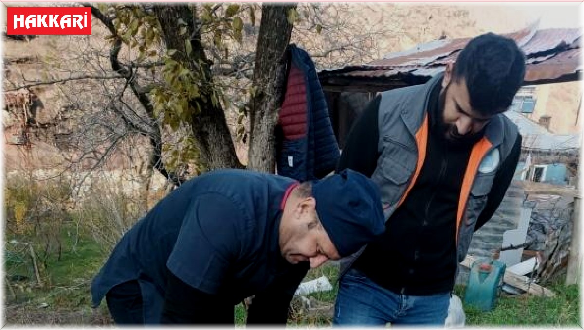 Kurtların saldırdığı at tedavi edildi