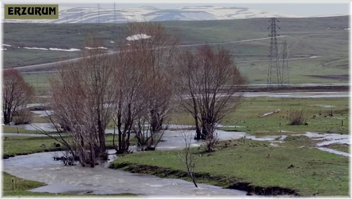 Kuru dere suya kavuştu