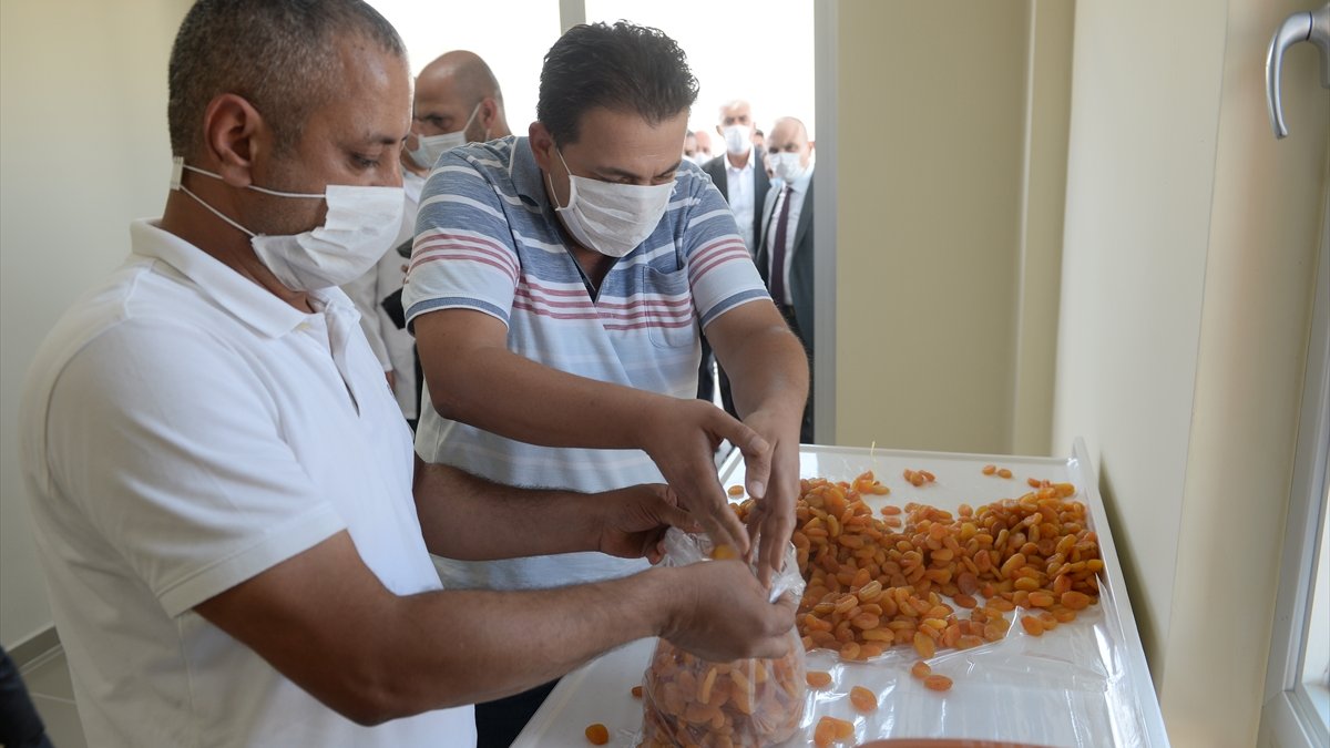 Kuru kayısı lisanslı deposuna ilk ürün teslimi yapıldı