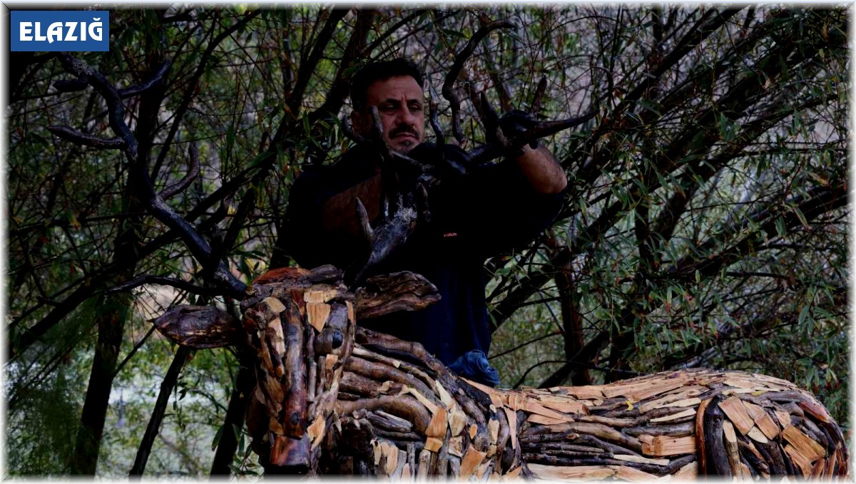 Kurumuş ağaç kökü ve dalları, sanata dönüşüyor