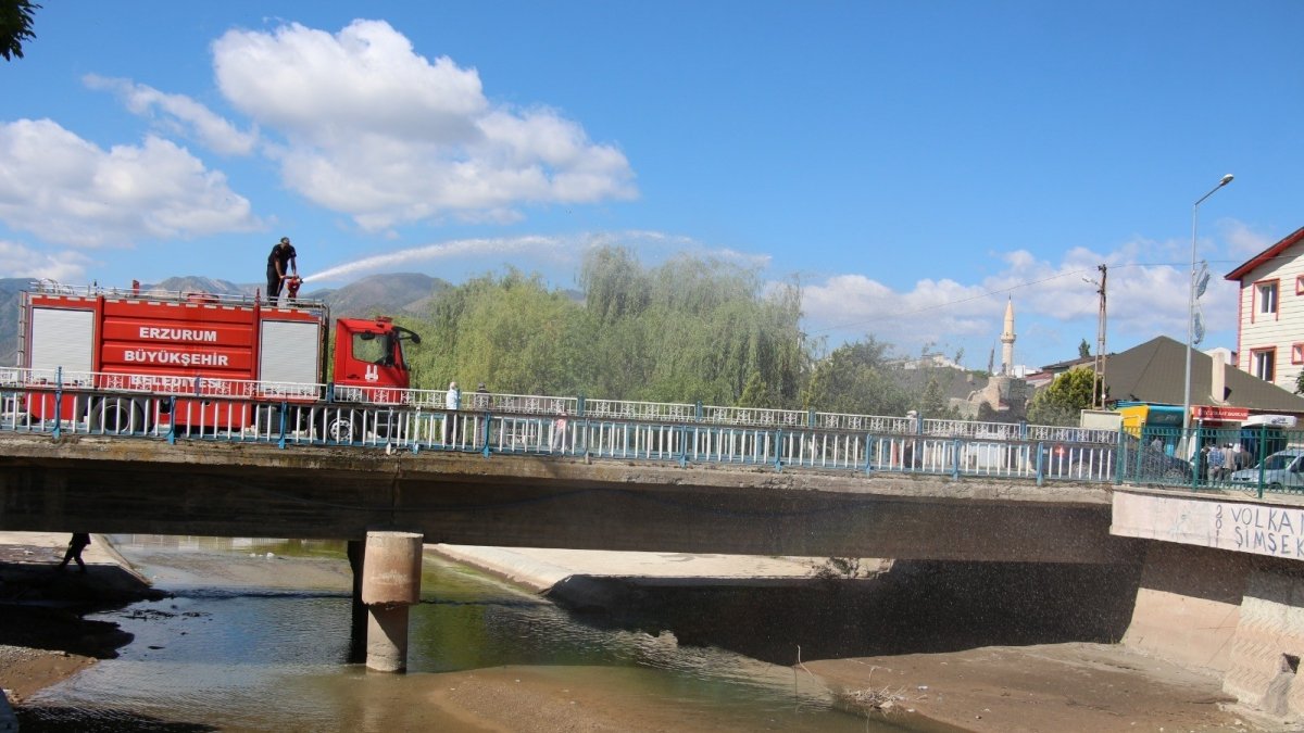 Kuruyan Oltu Çayı'ndaki balıklara nefes olabilmek için 12 ton su boşalttılar