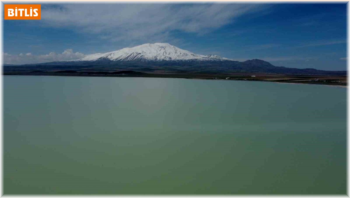 Kuş cenneti Arin Gölü'nde kuraklık tehlikesi