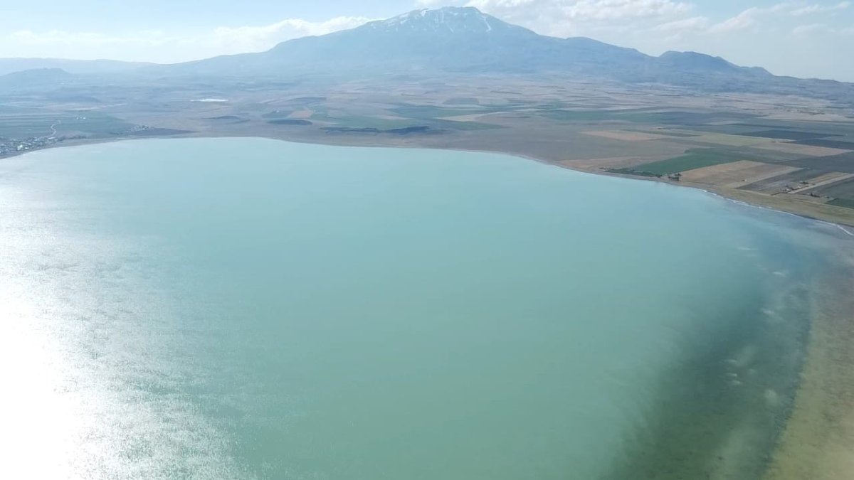 Kuş cenneti Arin Gölü yok olma tehlikesiyle karşı karşıya