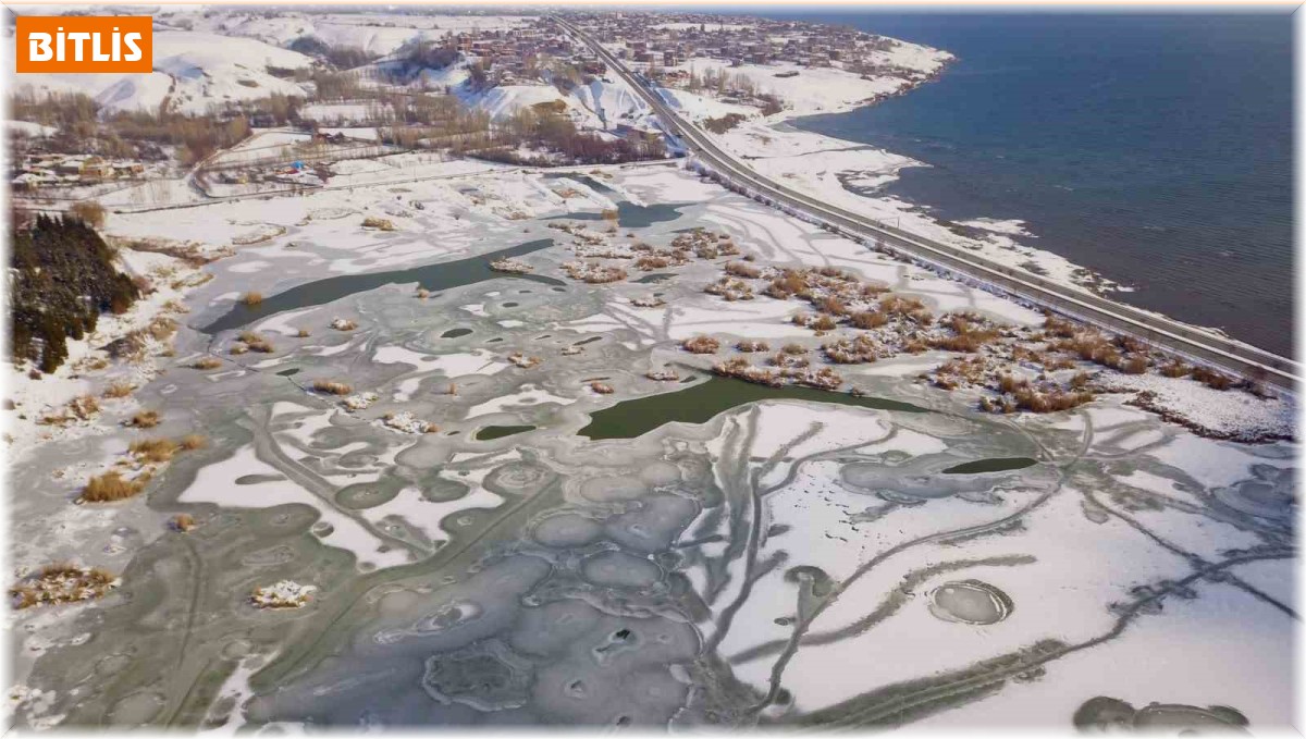 Kuş cenneti buz tuttu