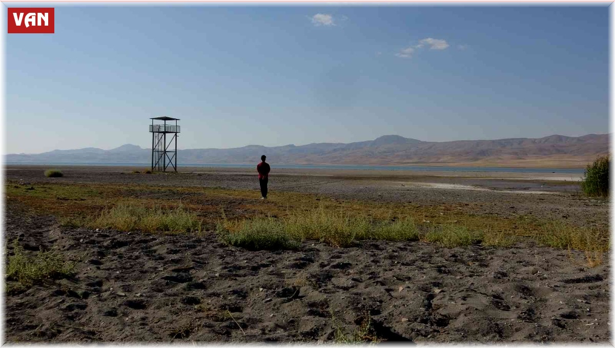 Kuş cenneti Erçek Gölü'nde korkutan su kaybı